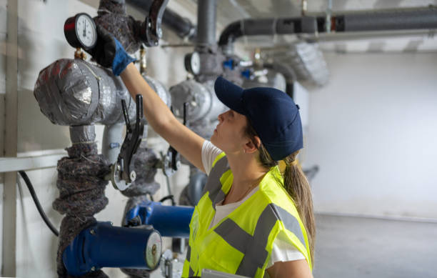 Best Clogged Drain Plumber  in Mount Olive, AL